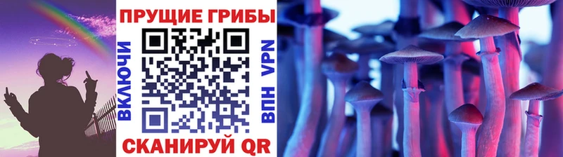 Галлюциногенные грибы Psilocybe  Кропоткин 